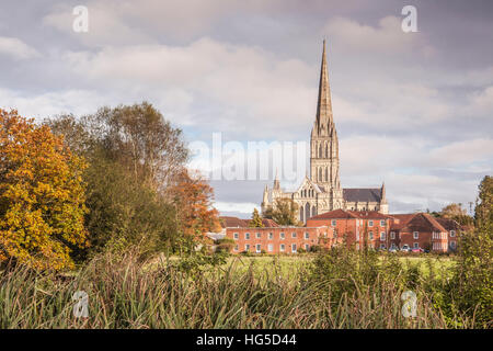 Kathedrale von Salisbury aus West Harnham Wässermatten, Salisbury, Wiltshire, England, Vereinigtes Königreich Stockfoto