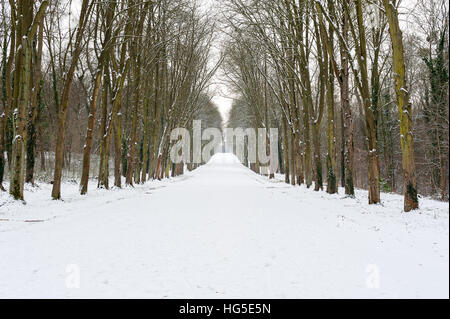 Leere Straße unter dem Schnee mit Baum Ausrichtung, Parc de Saint-Cloud, Paris, Frankreich Stockfoto