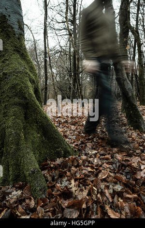 Ein altes Waldes mit Baumstämmen in hellen grünen feuchten Moos und Blätter den Boden Teppichboden bedeckt. Stockfoto