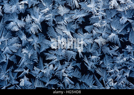 frostigen Muster auf dem Glas Stockfoto