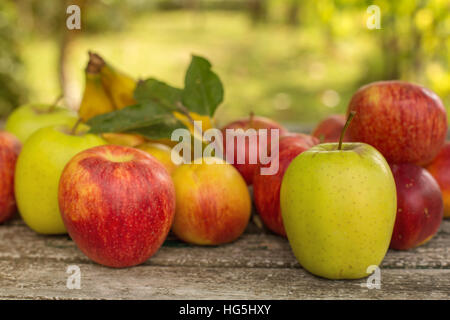 Früchte in Holztisch im Freien im Garten Stockfoto