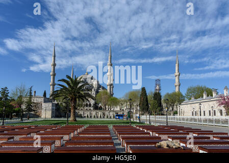 Viele Bänke, wo Reisende und einheimische zwischen der Sultan-Ahmet-Moschee und die Hagia Sophia eine Pause nehmen können. Stockfoto