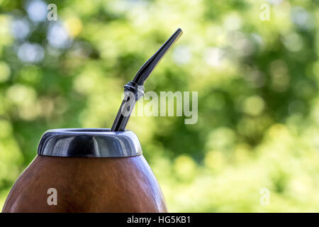 Yerba Mate in Kürbis matero Stockfoto