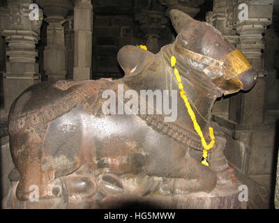 Nandi Idol befindet sich außerhalb des Shiva Tempels, aber in diesem finden Sie ein großes im Tempel. 13. Jahrhundert. Bhuleshwar-Tempel, Maharashtra Stockfoto