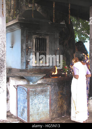 Menschen verehren in Shri Krishna Tempel, Ambalpuram, Kerala Stockfoto