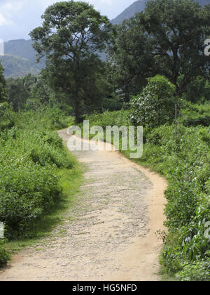 Landschaft. Nelliyampathy Hill, Palakkad, Kerala, Indien Stockfoto