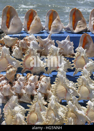 Dekorationen von Muscheln. Kanyakumari, Tamil Nadu, Indien Stockfoto