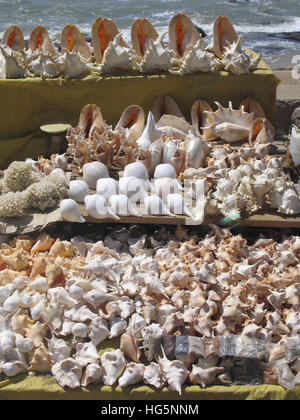 Dekorationen von Muscheln. Kanyakumari, Tamil Nadu, Indien Stockfoto