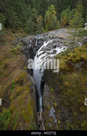 Englishman River Falls Provincial Park ist ein beliebtes touristisches Park ca. 10 km flussaufwärts von Parksville.  SCO 11.355. Stockfoto