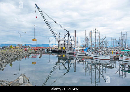 Stapeln Sie treibende Kran auf schwimmenden Schiff arbeiten im Hafen von französischen Creek, Vancouver Island, BC. Kanada. SCO 11.358. Stockfoto