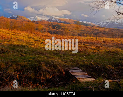 Großbritannien, Schottland, Highlands, Roy Bridge, Blick Richtung Stob Ban und die grauen Hochgebirgsflora. Stockfoto