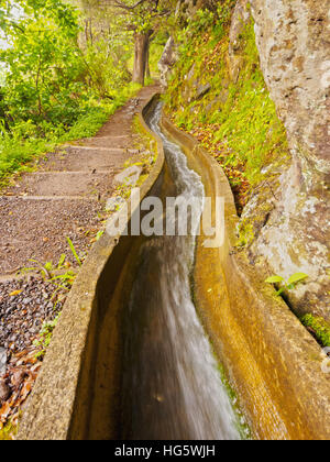 Portugal, Madeira, Blick auf die Levada da Serra tun Faial auf dem Teil von Ribeiro Frio, Portela. Stockfoto