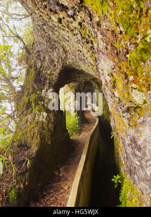 Portugal, Madeira, Blick auf die Levada da Serra tun Faial auf dem Teil von Ribeiro Frio, Portela. Stockfoto