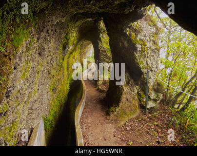 Portugal, Madeira, Blick auf die Levada da Serra tun Faial auf dem Teil von Ribeiro Frio, Portela. Stockfoto