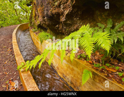 Portugal, Madeira, Blick auf die Levada da Serra tun Faial auf dem Teil von Ribeiro Frio, Portela. Stockfoto