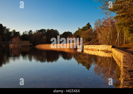 Frensham Teiche in der Abenddämmerung. Stockfoto