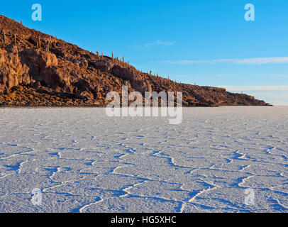 Bolivien, Potosi Department, Daniel Campos Provinz, Salar de Uyuni, Blick auf die Insel Incahuasi bei Sonnenaufgang. Stockfoto