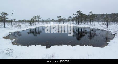 Nicht fixierten Moor Pool im winter Stockfoto