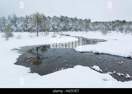 Verschneite Moor im winter Stockfoto