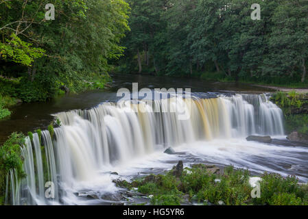 Wasserfall im Wald Stockfoto