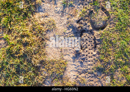 Maultierweg Fußspuren zeigen, Mountainbike und Hufeisen Drucke. Stockfoto