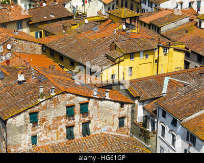 Dächer in Lucca, Toskana, Italien Stockfoto