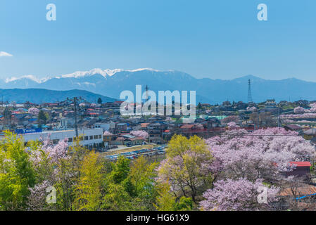 Rosa Kirschblüten in voller Blüte in Ina Stadt der Präfektur Nagano Stockfoto