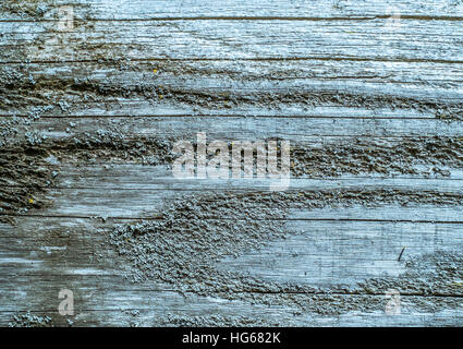 grobe Holzplatte gefiltert in hellblau Stockfoto