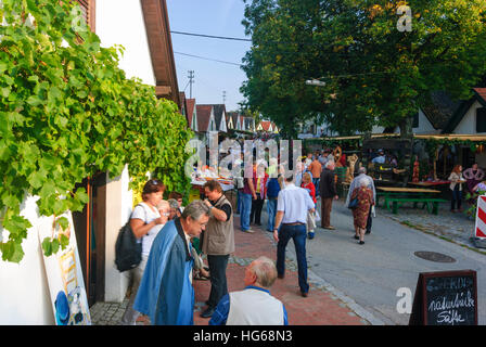 Falkenstein: Kellergasse (Bahn mit Weinkellern auf einer oder beiden Seiten) Galgenberg mit Weinfelder, Weinfest, Weinviertel, Niederösterreich, Lowe Stockfoto