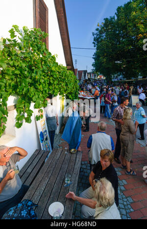 Falkenstein: Kellergasse (Bahn mit Weinkellern auf einer oder beiden Seiten) Galgenberg mit Weinfelder, Weinfest, Weinviertel, Niederösterreich, Lowe Stockfoto