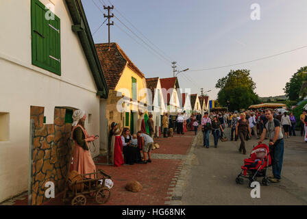 Falkenstein: Kellergasse (Bahn mit Weinkellern auf einer oder beiden Seiten) Galgenberg mit Weinfelder, Weinfest, Weinviertel, Niederösterreich, Lowe Stockfoto