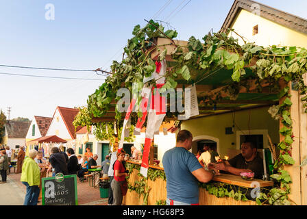 Falkenstein: Kellergasse (Bahn mit Weinkellern auf einer oder beiden Seiten) Galgenberg mit Weinfelder, Weinfest, Weinviertel, Niederösterreich, Lowe Stockfoto