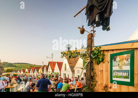 Falkenstein: Kellergasse (Bahn mit Weinkellern auf einer oder beiden Seiten) Galgenberg mit Weinfelder, Weinfest, Weinviertel, Niederösterreich, Lowe Stockfoto