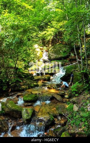 Peking, China Jilin Provinz. 6. August 2016. Touristen besuchen den Wunyu Berg in Ji'an City, Nordost-China Jilin Province, 6. August 2016. © Xu Chang/Xinhua/Alamy Live-Nachrichten Stockfoto