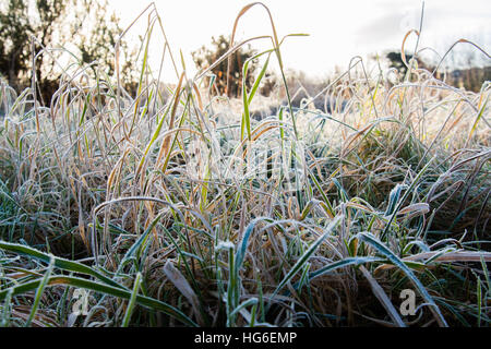 Aberystwyth Wales UK, Donnerstag, 5. Januar 2017 bitter kalt und frostig start in den Tag in Aberystwyth, nach der kältesten Nacht des Winters so weit, mit Temperaturen bis - 5 º Celsius im Landesinneren vielerorts Foto © Keith Morris / Alamy Live News Stockfoto