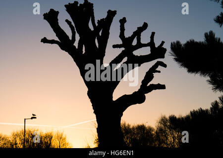 Aberystwyth Wales UK, Donnerstag, 5. Januar 2017 bitter kalt und frostig start in den Tag in Aberystwyth, nach der kältesten Nacht des Winters so weit, mit Temperaturen bis - 5 º Celsius im Landesinneren vielerorts Foto © Keith Morris / Alamy Live News Stockfoto