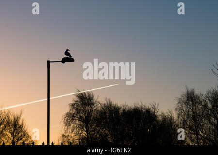 Aberystwyth Wales UK, Donnerstag, 5. Januar 2017 bitter kalt und frostig start in den Tag in Aberystwyth, nach der kältesten Nacht des Winters so weit, mit Temperaturen bis - 5 º Celsius im Landesinneren vielerorts Foto © Keith Morris / Alamy Live News Stockfoto