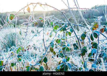 Aberystwyth Wales UK, Donnerstag, 5. Januar 2017 bitter kalt und frostig start in den Tag in Aberystwyth, nach der kältesten Nacht des Winters so weit, mit Temperaturen bis - 5 º Celsius im Landesinneren vielerorts Foto © Keith Morris / Alamy Live News Stockfoto