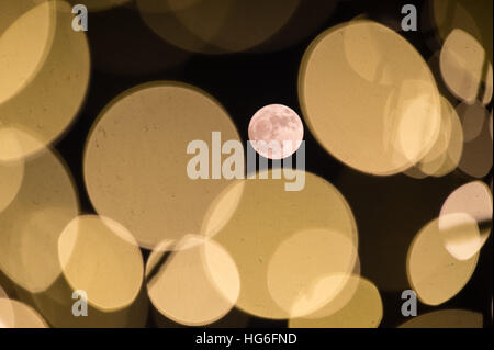 Peking, China Jiangsu Provinz. 14. November 2016. Ein "Supermoon" sieht in Nanjing, der Hauptstadt der ostchinesischen Provinz Jiangsu, am 14. November 2016. © Li Xiang/Xinhua/Alamy Live-Nachrichten Stockfoto