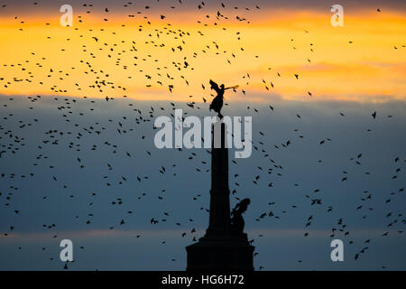 Aberystwyth, Wales, UK. 5. Januar 2017. Großbritannien Wetter. Nach einem äußerst kalt, klar und frostigen Tag Schwärme von Tausenden von winzigen Stare zurück von den Futterplätzen in Aberystwyths unverwechselbaren Kriegerdenkmal als die Sonne untergeht, bevor Schlafplatz für die Nacht unter der Stadt viktorianischen Seestadt Pier auf der West Wales Küste von Cardigan Bay, umfliegen UK Foto © Keith Morris/Alamy Live-Nachrichten Stockfoto