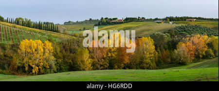 Herbstfarben und die Landschaft in der Nähe von San Gimignano, Toskana, Italien Stockfoto