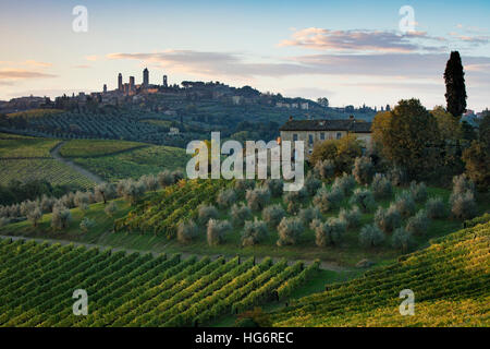 Weinberge, Olivenhaine und toskanische Landschaft unterhalb der mittelalterlichen Stadt San Gimignano, Toskana, Italien Stockfoto