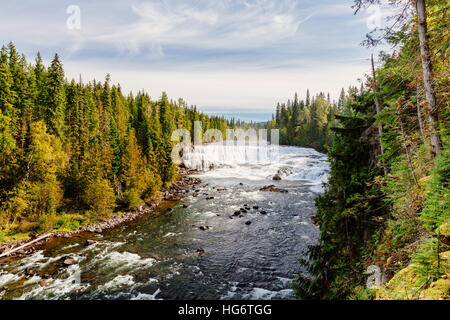 Dawson Falls ist einer der sieben Wasserfälle am Murtle River im Wells Gray Provincial Park in British Columbia, Kanada. Stockfoto