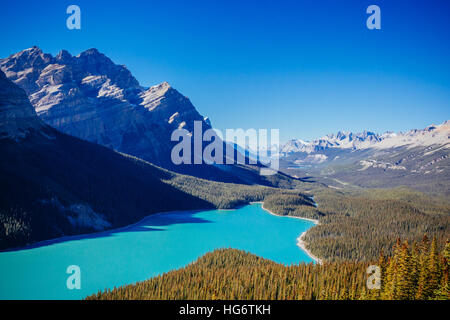 Peyto Lake ist ein Gletscher gespeisten See befindet sich im Banff Nationalpark in den kanadischen Rockies. Der See selbst ist leicht von der Icefields Parkway zugänglich. Stockfoto