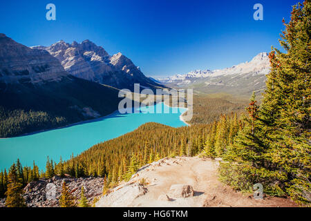 Peyto Lake ist ein Gletscher gespeisten See befindet sich im Banff Nationalpark in den kanadischen Rockies. Der See selbst ist leicht von der Icefields Parkway zugänglich. Stockfoto