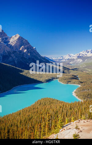 Peyto Lake ist ein Gletscher gespeisten See befindet sich im Banff Nationalpark in den kanadischen Rockies. Der See selbst ist leicht von der Icefields Parkway zugänglich. Stockfoto