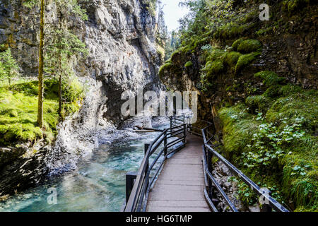 Als Johnston Creek Bow River nähert, es fließt durch eine große Schlucht, die durch Erosion gebildet über Jahrtausende hinweg. Stockfoto