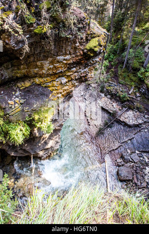 Johnston Creek hat seinen Ursprung nördlich von Schloss Berg in einem Urstromtal südwestlich von Badger Pass und südlich von Pulsatilla Pass, auf einer Höhe von 2.500 Stockfoto