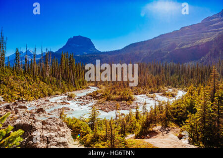 Gespeisten Wasserfälle ist ein Wasserfall befindet sich im Yoho-Nationalpark, British Columbia in Kanada. Der höchste Punkt liegt 302m von ihrer Basis, so dass es der 45. Stockfoto