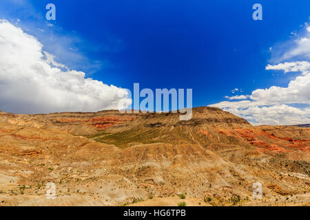 Joshua Tree Weg in der Mojave-Wüste in der Nähe der Scenic Backway. Stockfoto